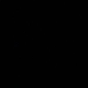 Meet your Posher, Nicholas